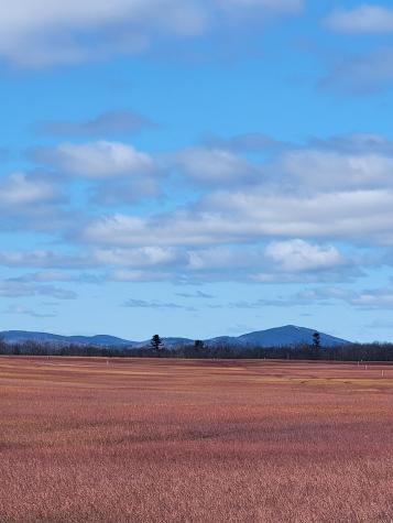 Lot #6 Hardwood Ridge Road Deblois ME 04622