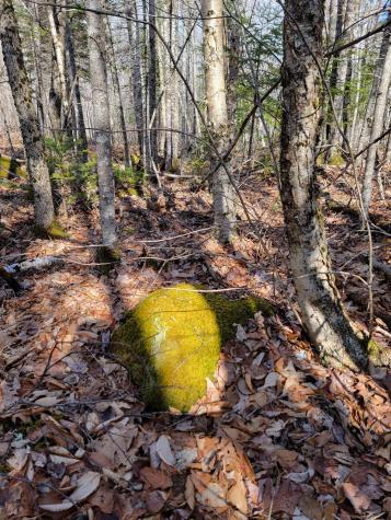 Lot #6 Hardwood Ridge Road Deblois ME 04622