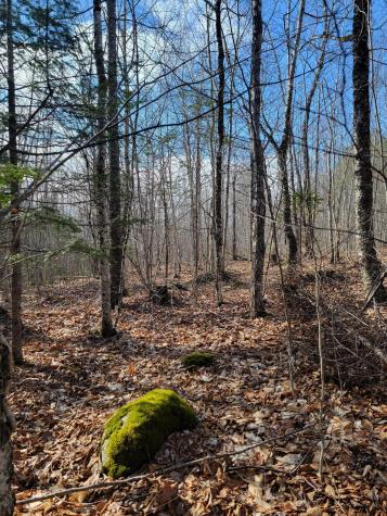 Lot #6 Hardwood Ridge Road Deblois ME 04622