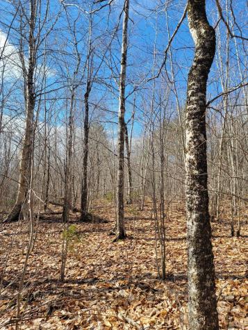 Lot #6 Hardwood Ridge Road Deblois ME 04622