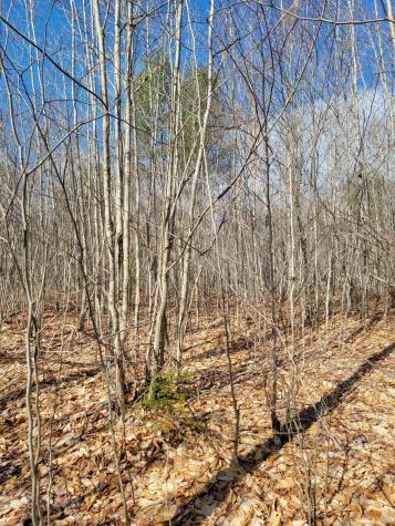 Lot #6 Hardwood Ridge Road Deblois ME 04622