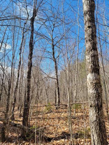 Lot #6 Hardwood Ridge Road Deblois ME 04622
