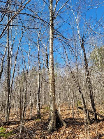 Lot #6 Hardwood Ridge Road Deblois ME 04622