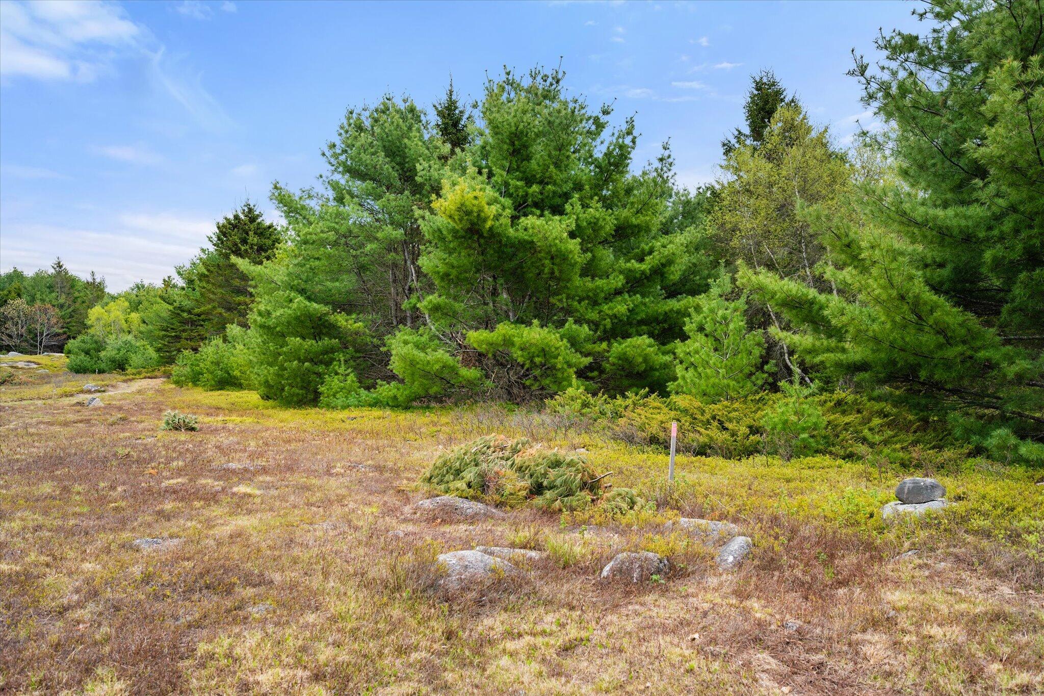 Map 6 Lot 31c Cedar Swamp Road Orland ME 04472