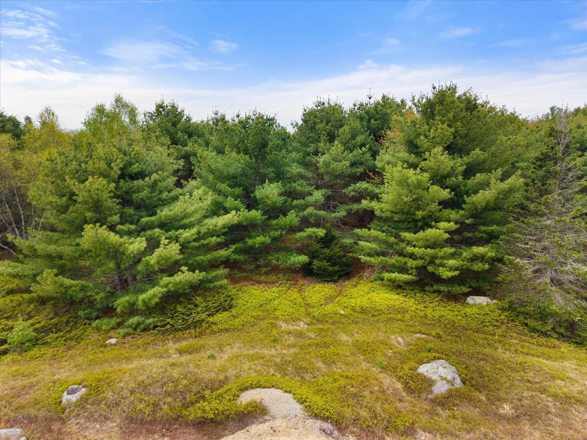 Map 6 Lot 31c Cedar Swamp Road Orland ME 04472