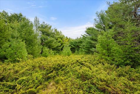 Map 6 Lot 31c Cedar Swamp Road Orland ME 04472