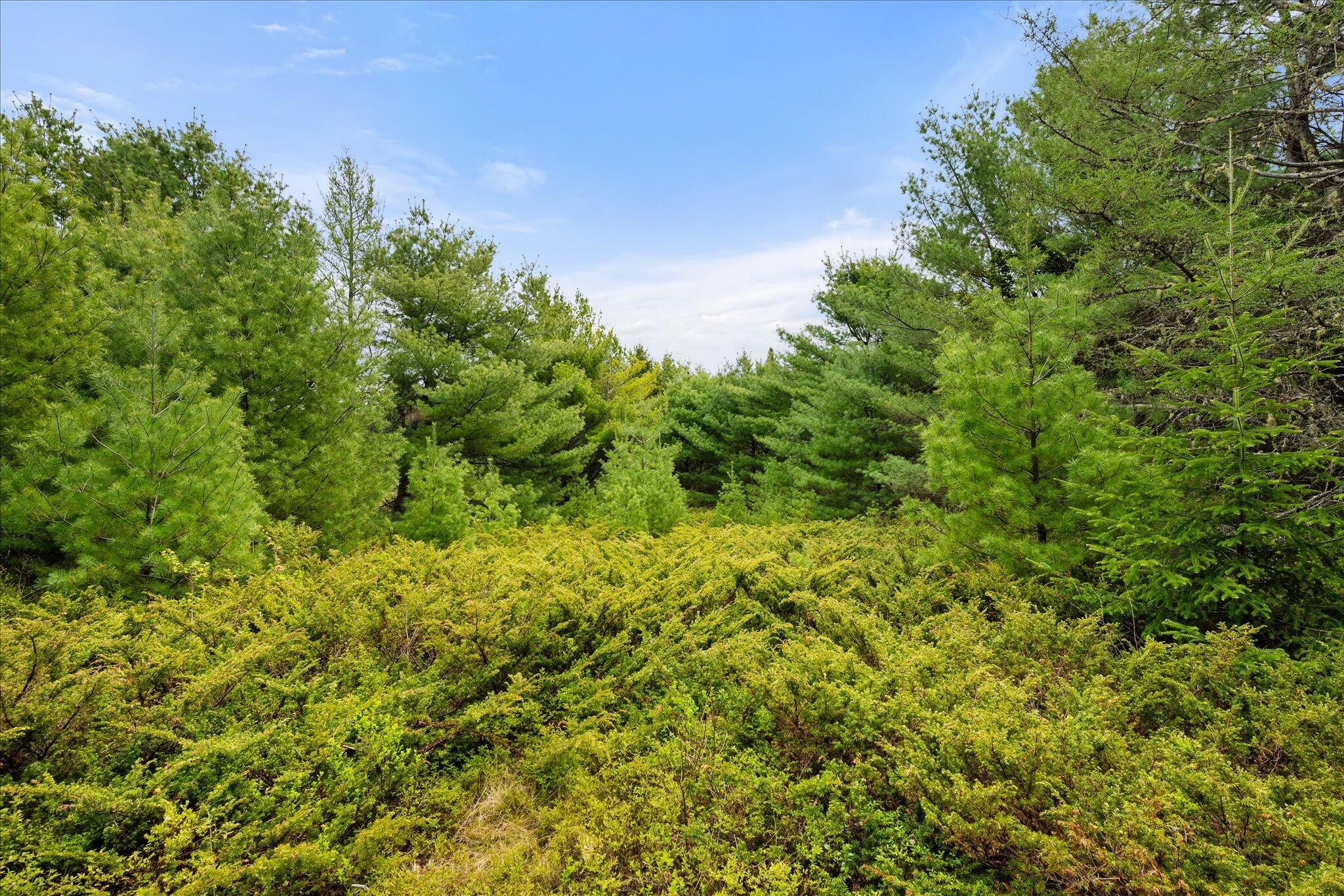 Map 6 Lot 31c Cedar Swamp Road Orland ME 04472