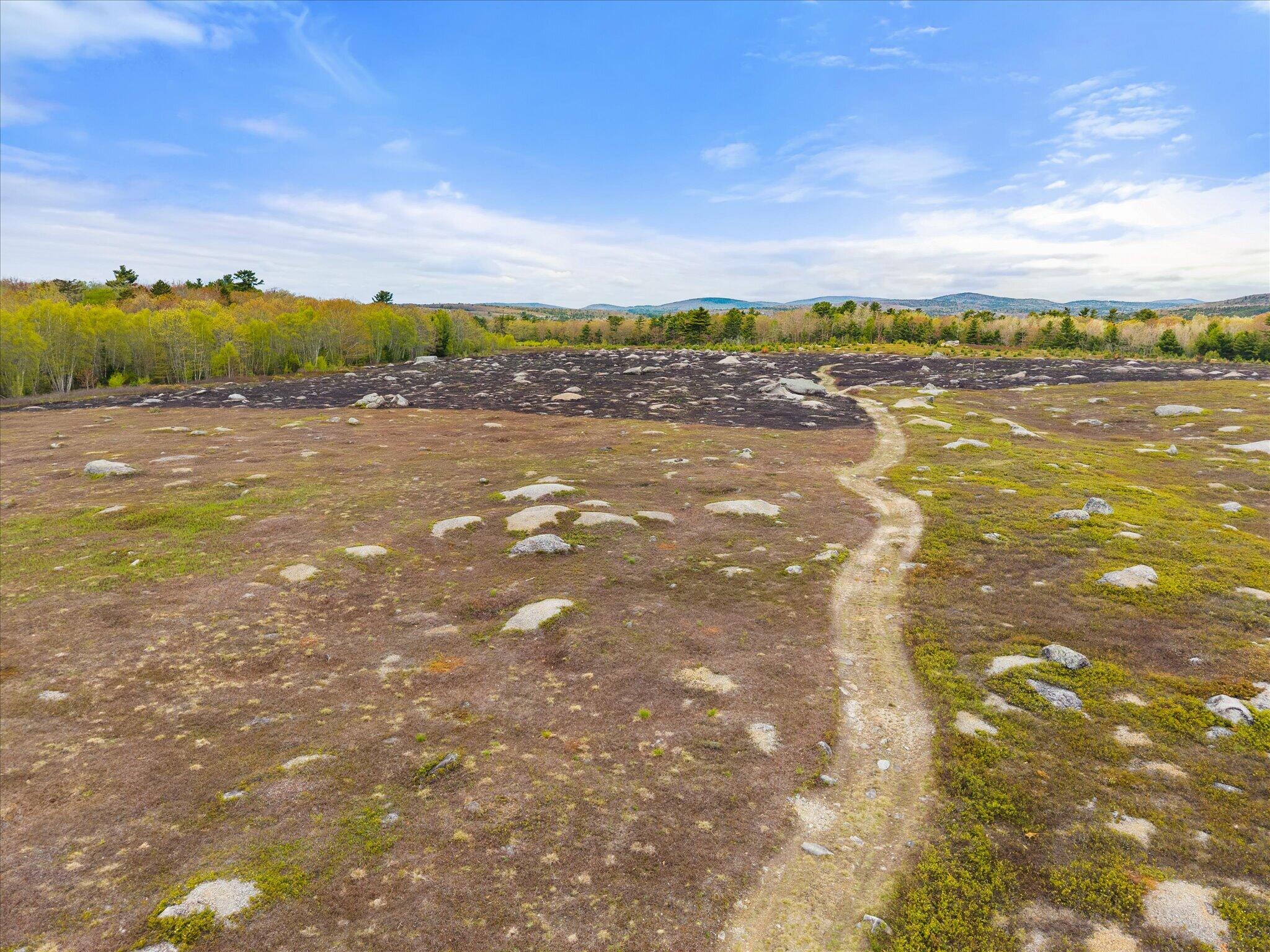 Map 6 Lot 31c Cedar Swamp Road Orland ME 04472