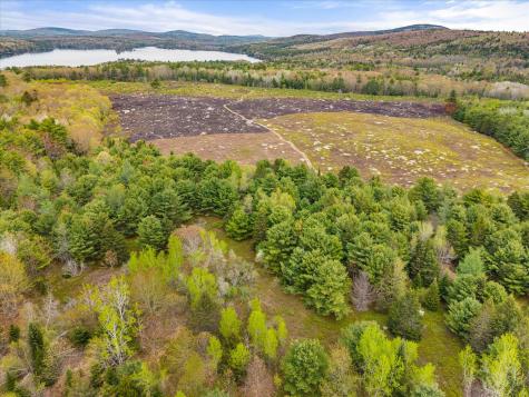 Map 6 Lot 31c Cedar Swamp Road Orland ME 04472