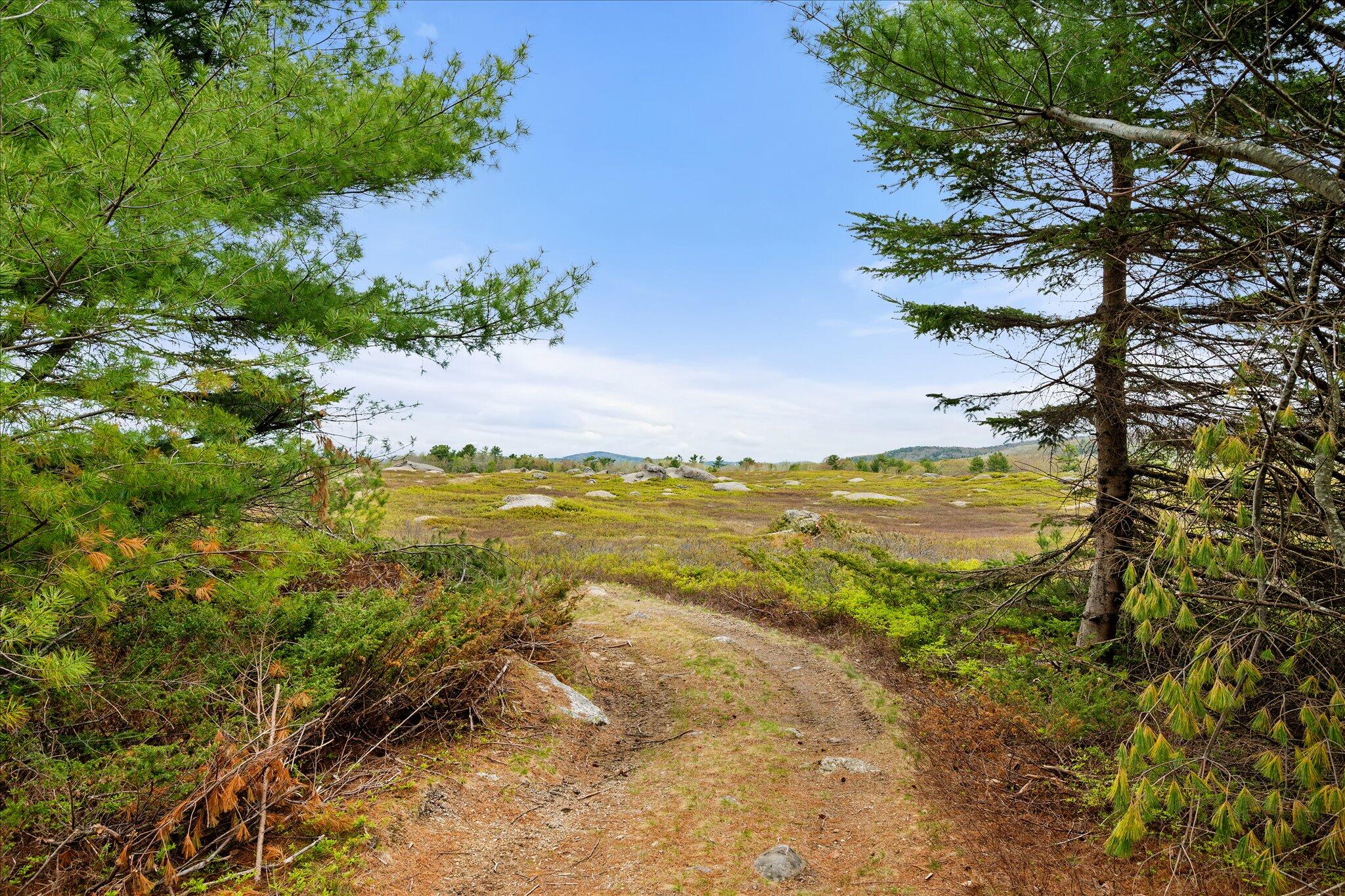 Map 6 Lot 31c Cedar Swamp Road Orland ME 04472