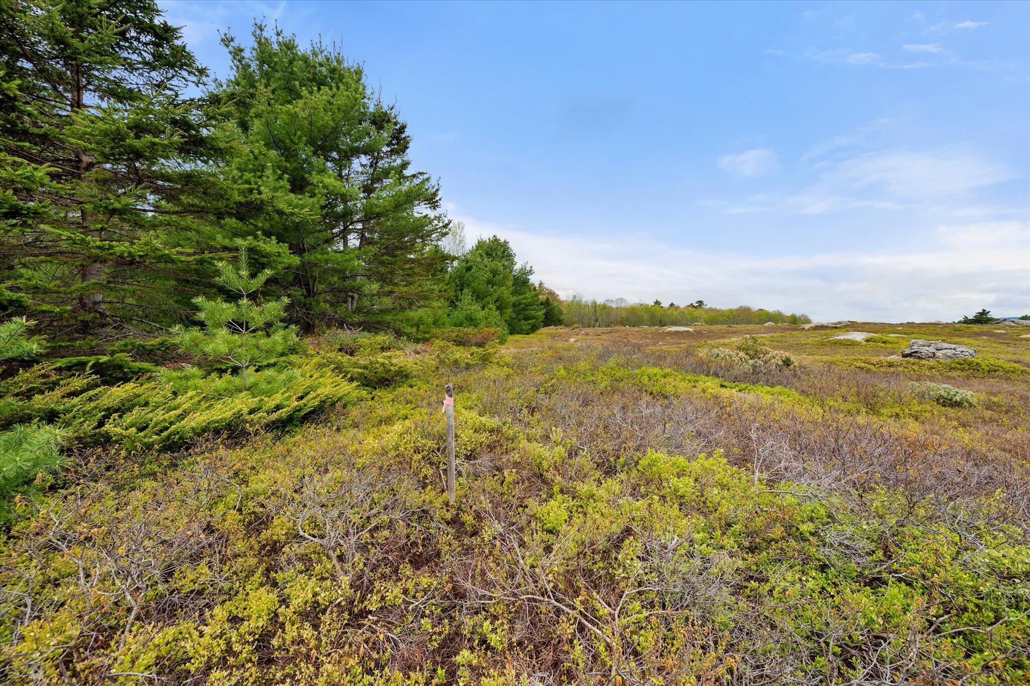 Map 6 Lot 31c Cedar Swamp Road Orland ME 04472