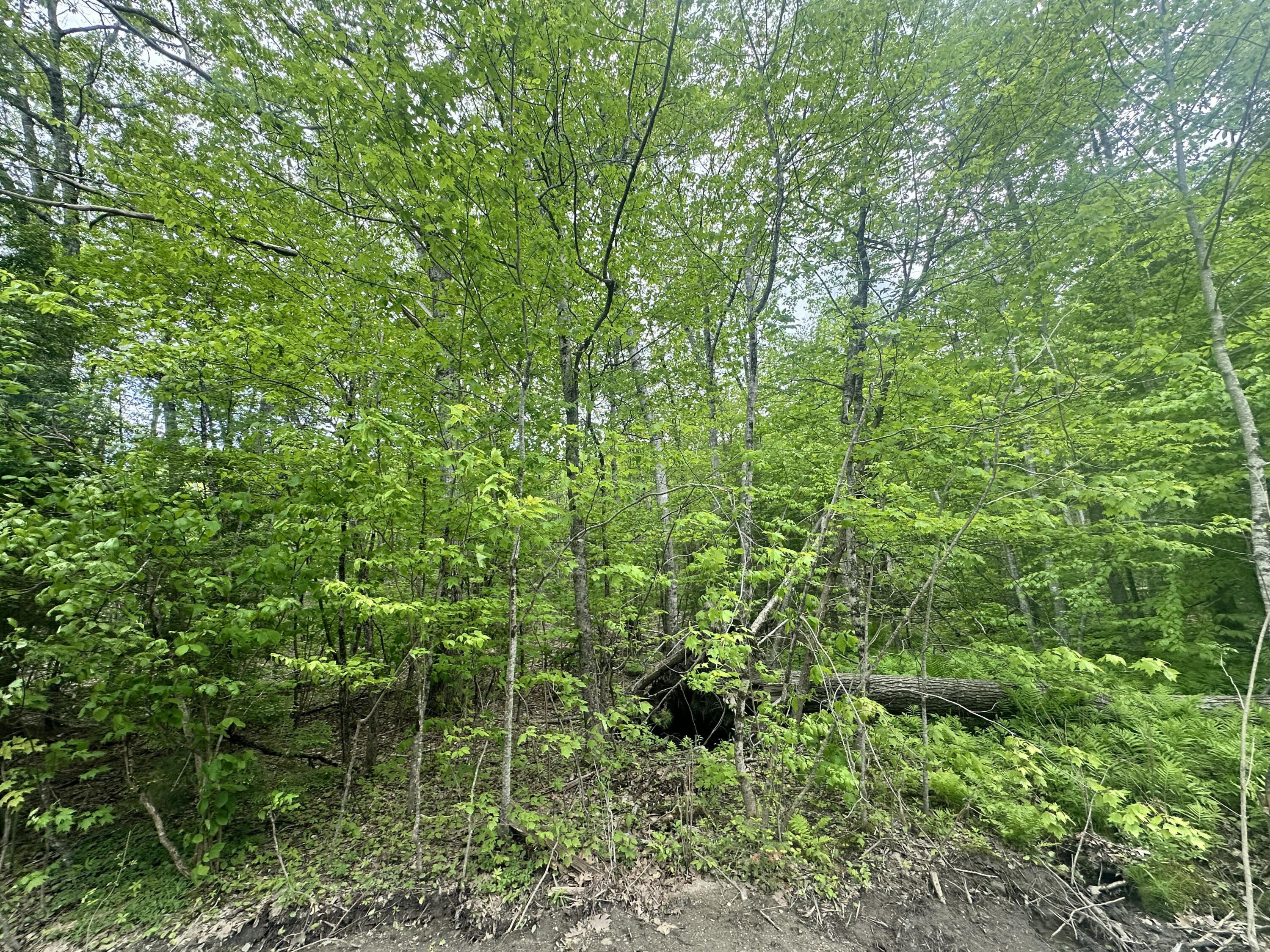 Lot #15 Greenacre Road Lincolnville ME 04849