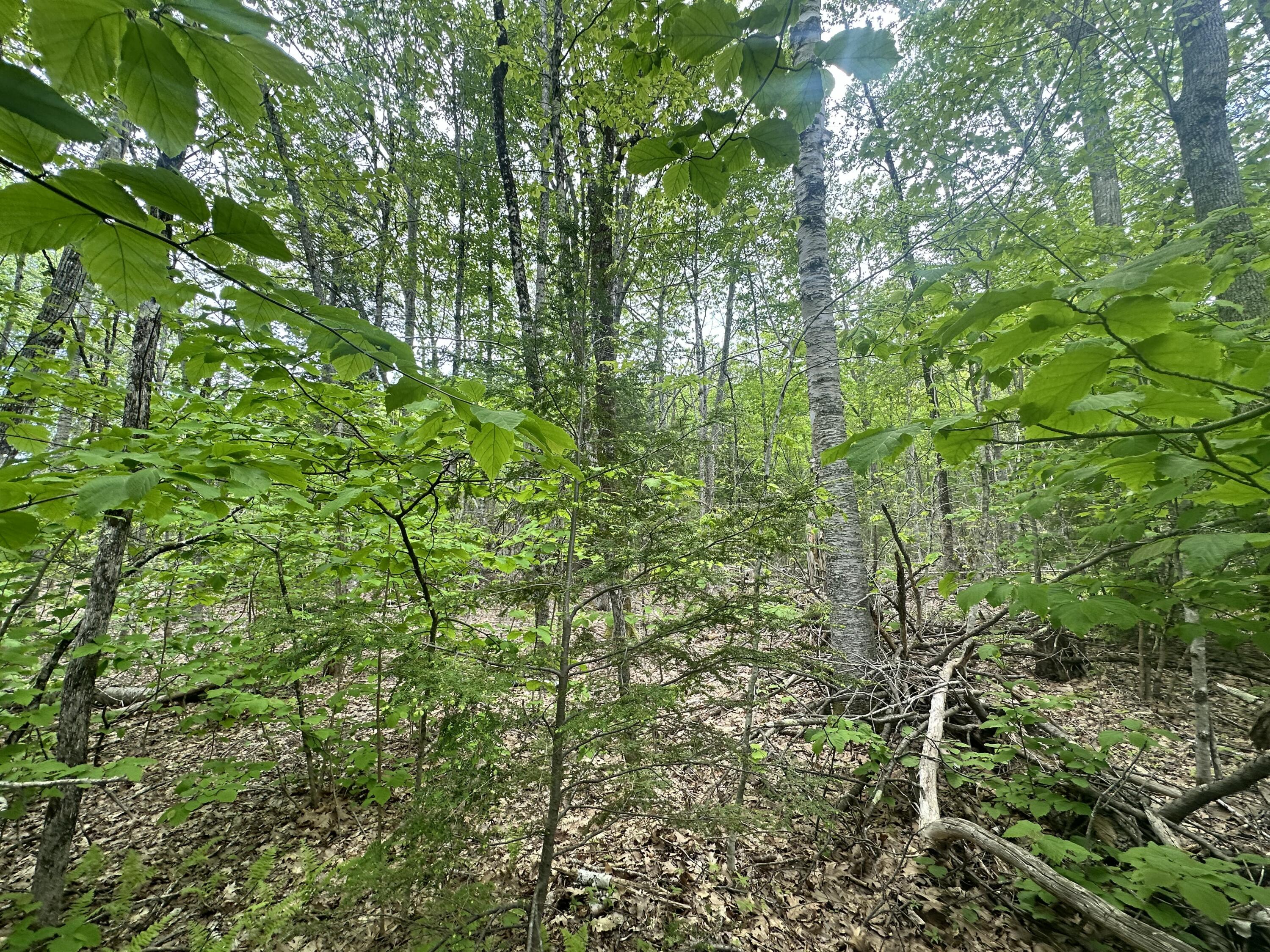 Lot #15 Greenacre Road Lincolnville ME 04849