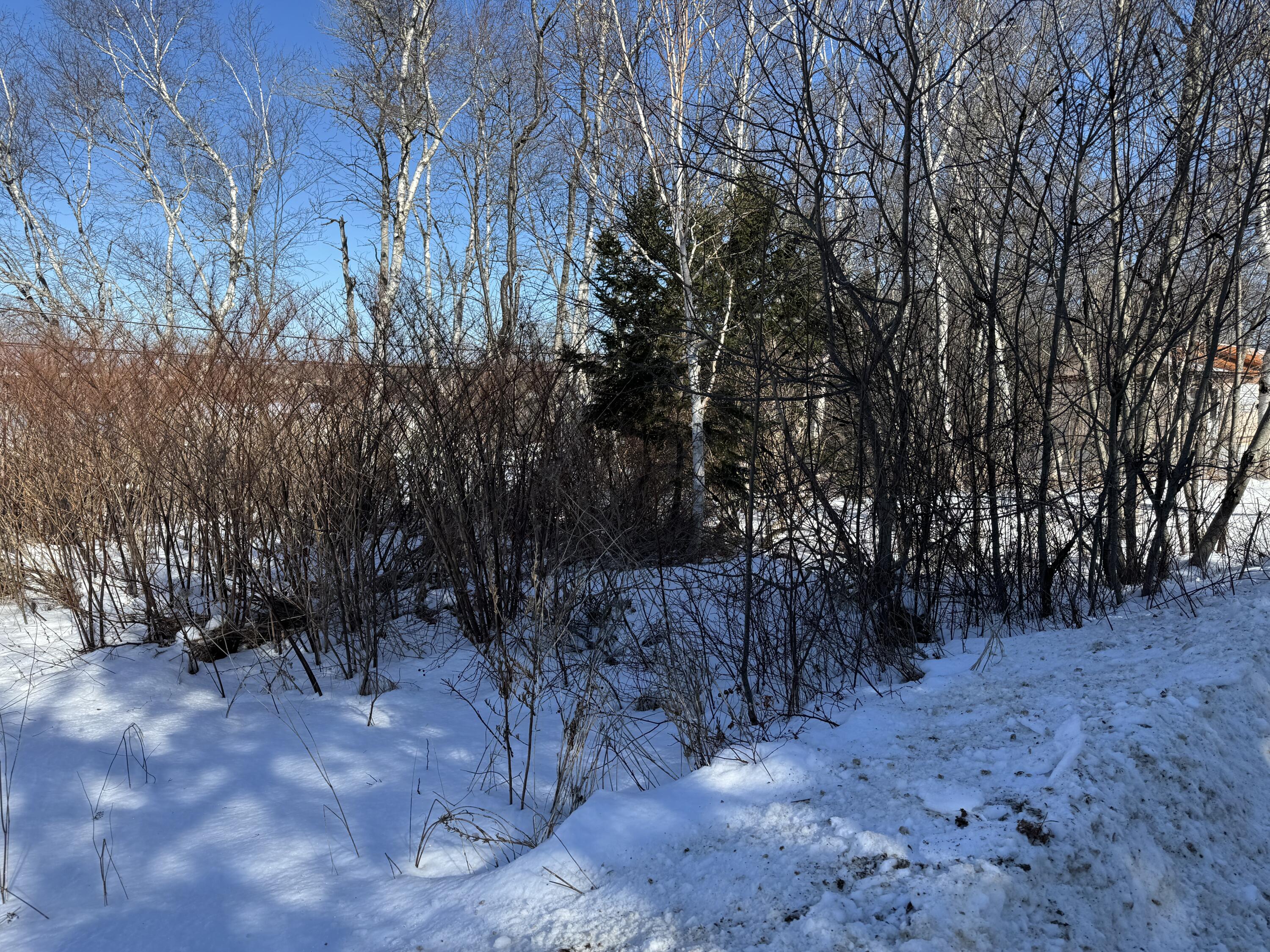 11 Lovelace Street Eastport ME 04631