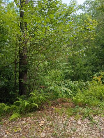 R13/038 Weeks Road Parsonsfield ME 04047