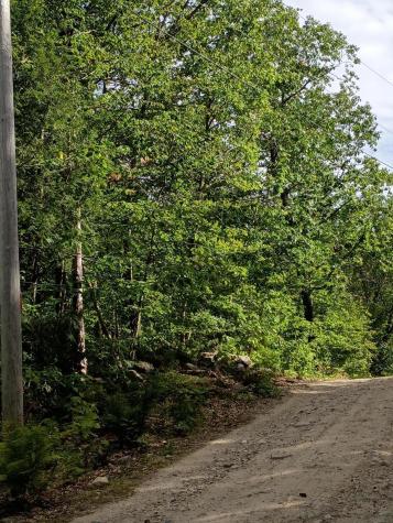 R13/038 Weeks Road Parsonsfield ME 04047