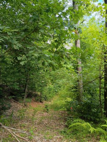 R13/038 Weeks Road Parsonsfield ME 04047