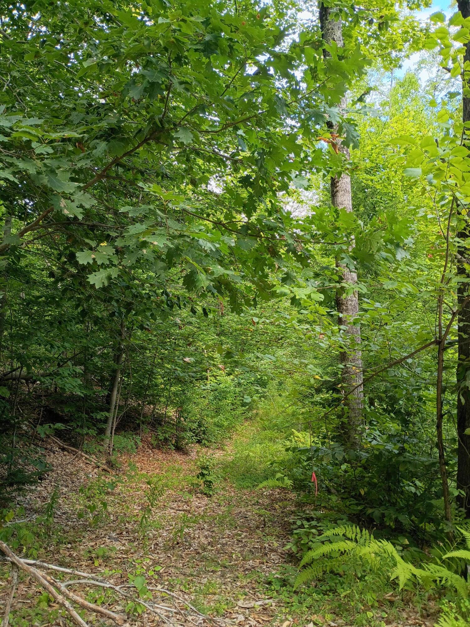 R13/038 Weeks Road Parsonsfield ME 04047