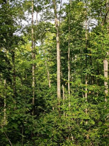 R13/038 Weeks Road Parsonsfield ME 04047