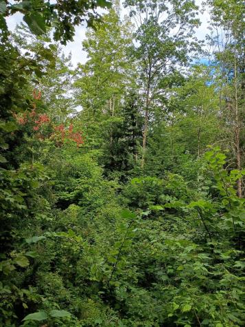 R13/038 Weeks Road Parsonsfield ME 04047