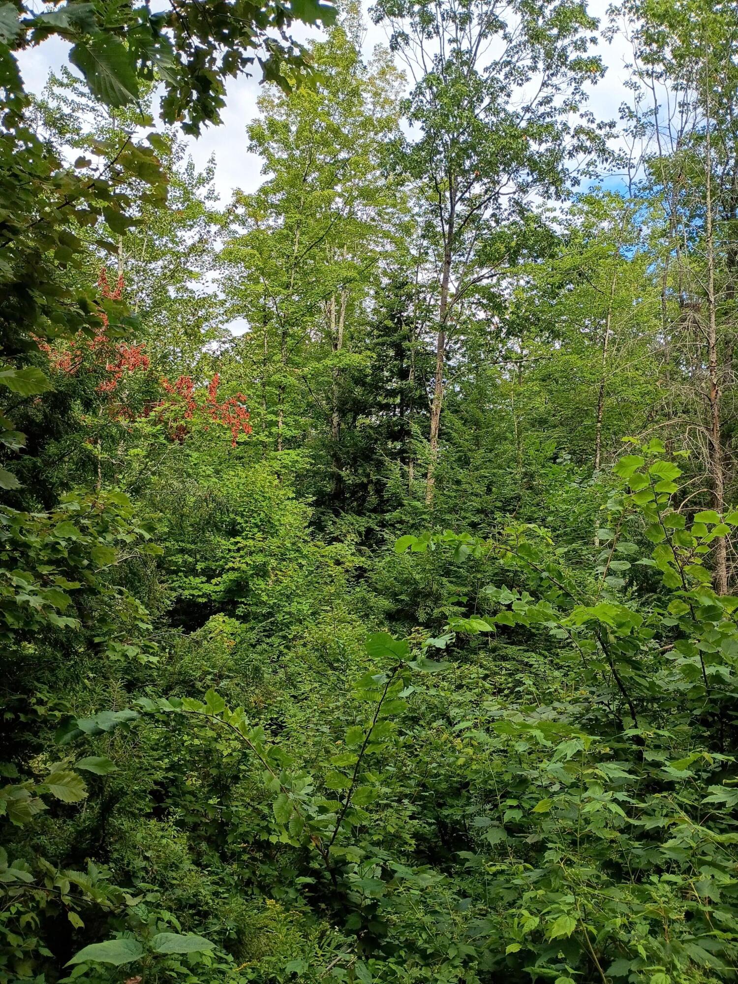 R13/038 Weeks Road Parsonsfield ME 04047