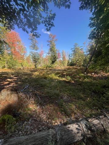 616 Peltoma Avenue Pittsfield ME 04967