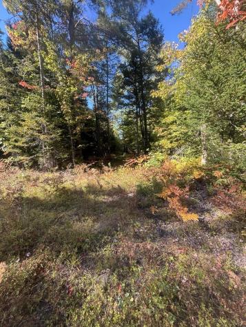 616 Peltoma Avenue Pittsfield ME 04967