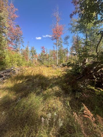 616 Peltoma Avenue Pittsfield ME 04967