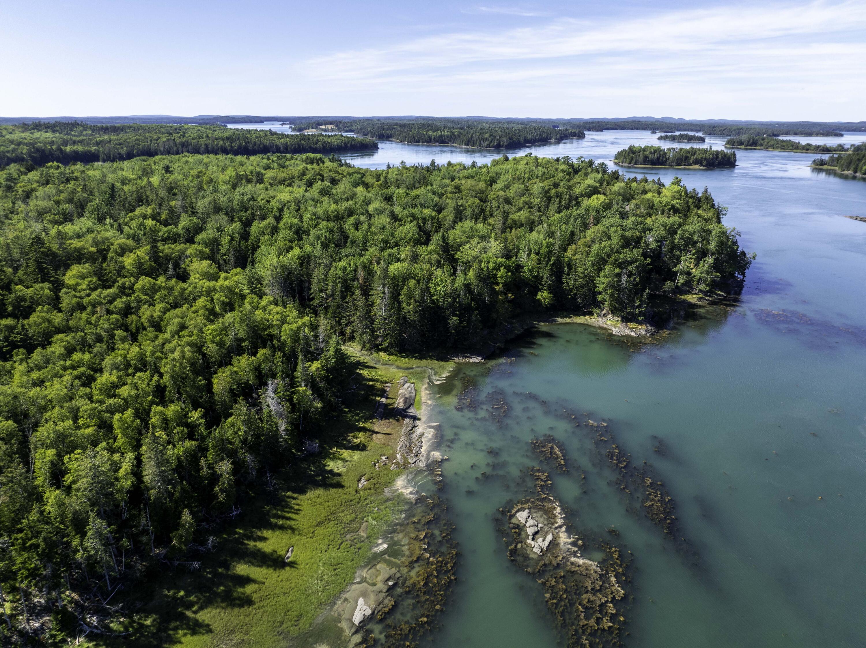 Lot 48 Coffins Neck Road Lubec ME 04652