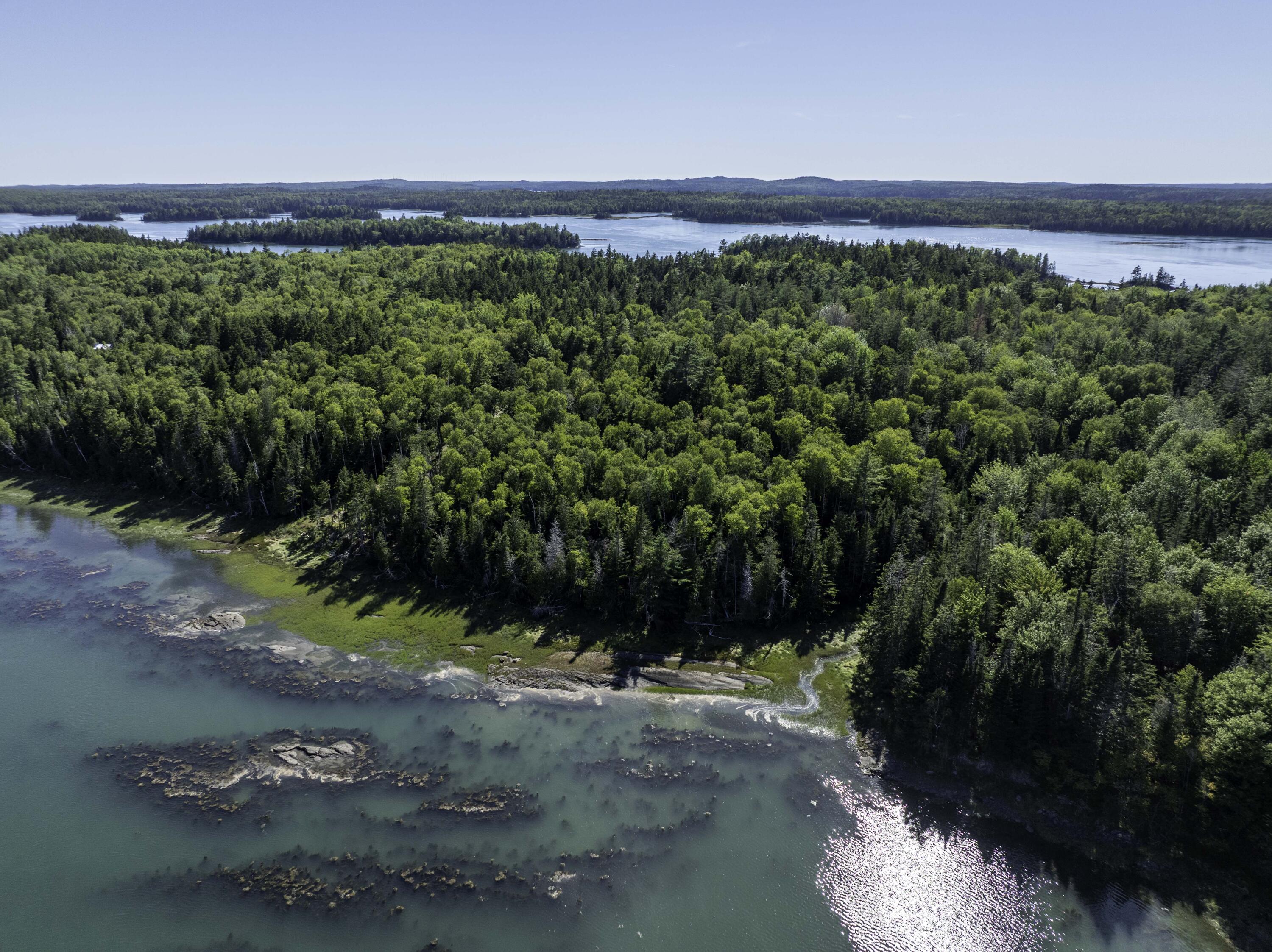 Lot 48 Coffins Neck Road Lubec ME 04652