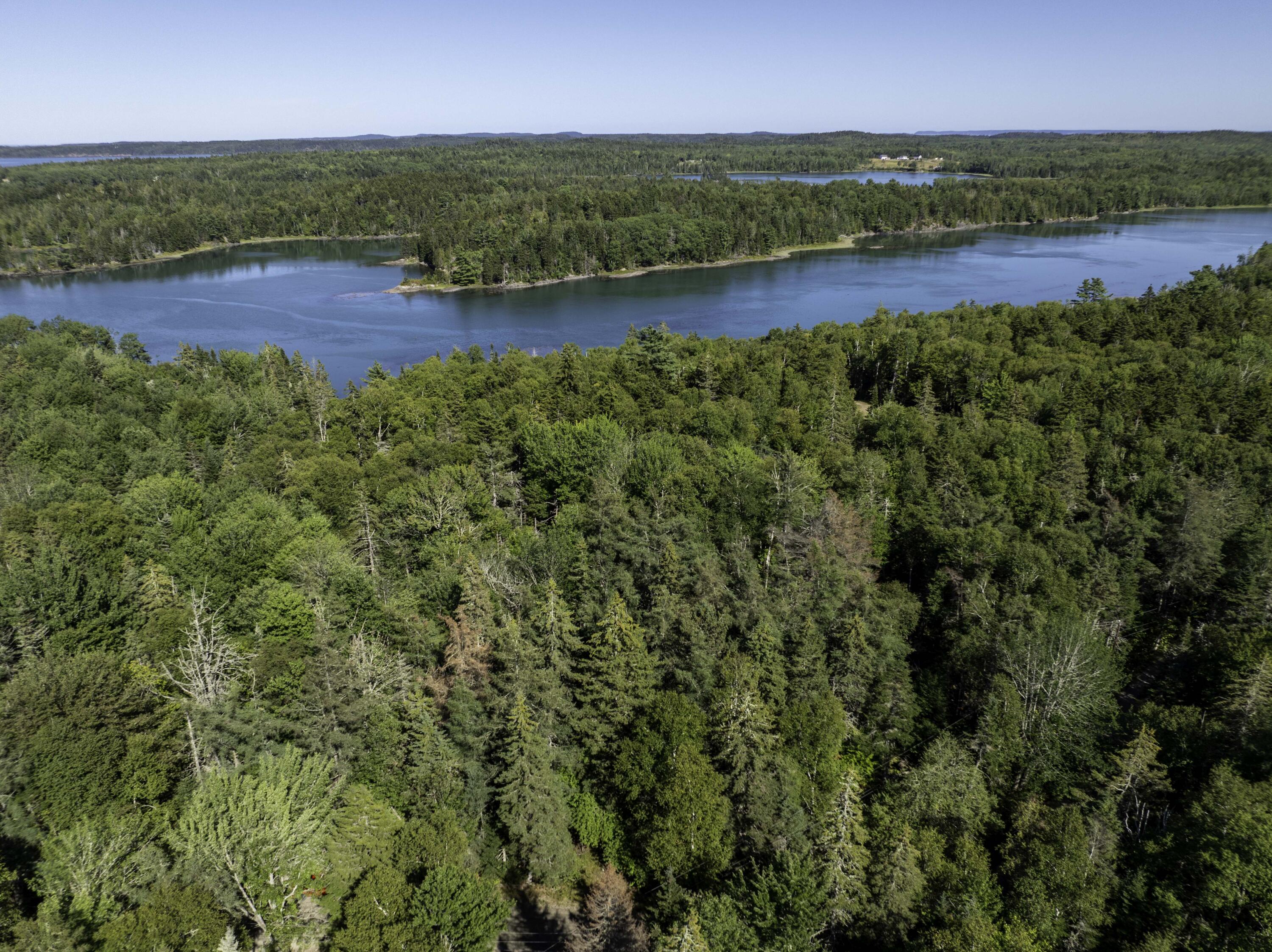 Lot 48 Coffins Neck Road Lubec ME 04652