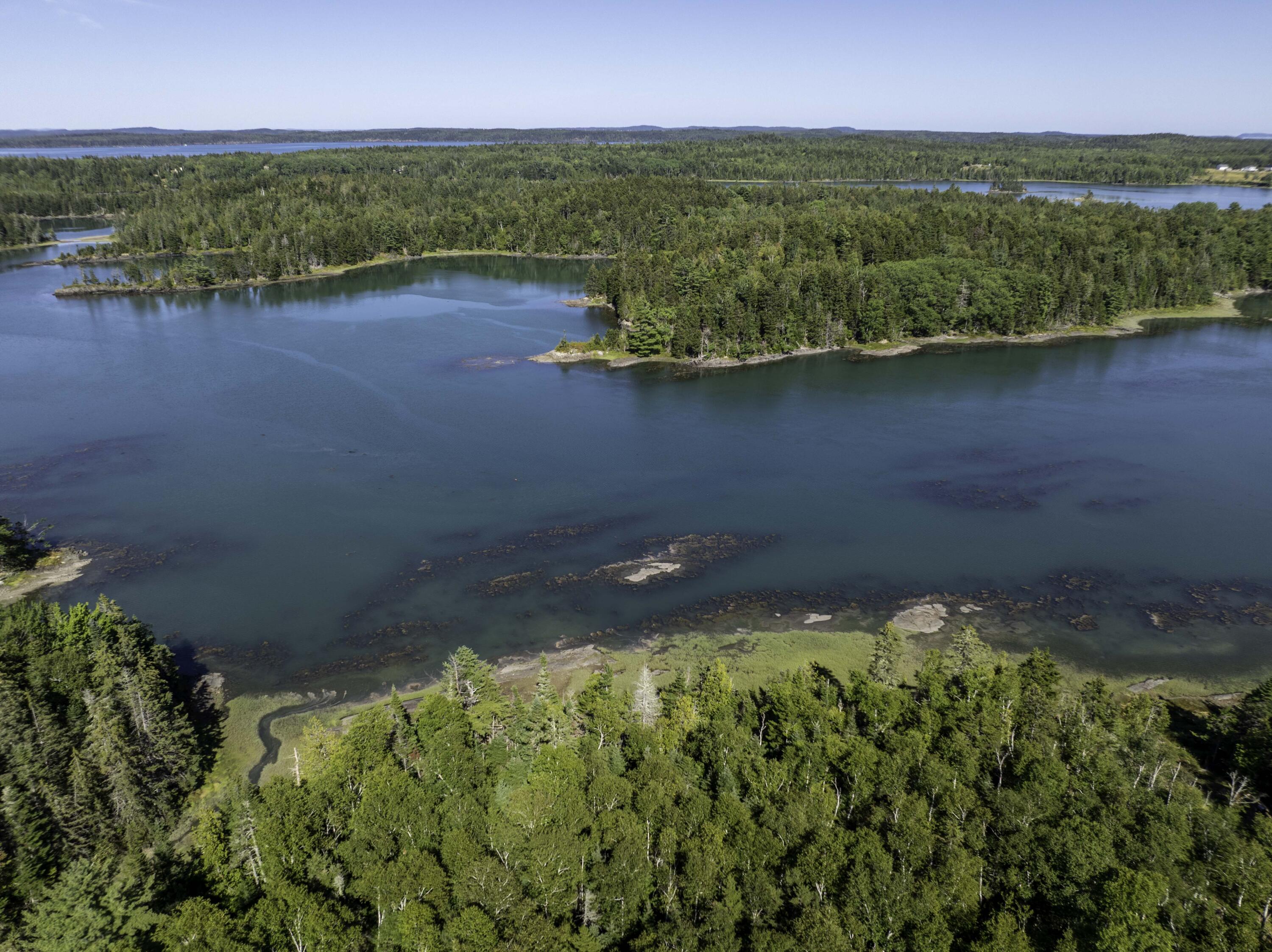 Lot 48 Coffins Neck Road Lubec ME 04652