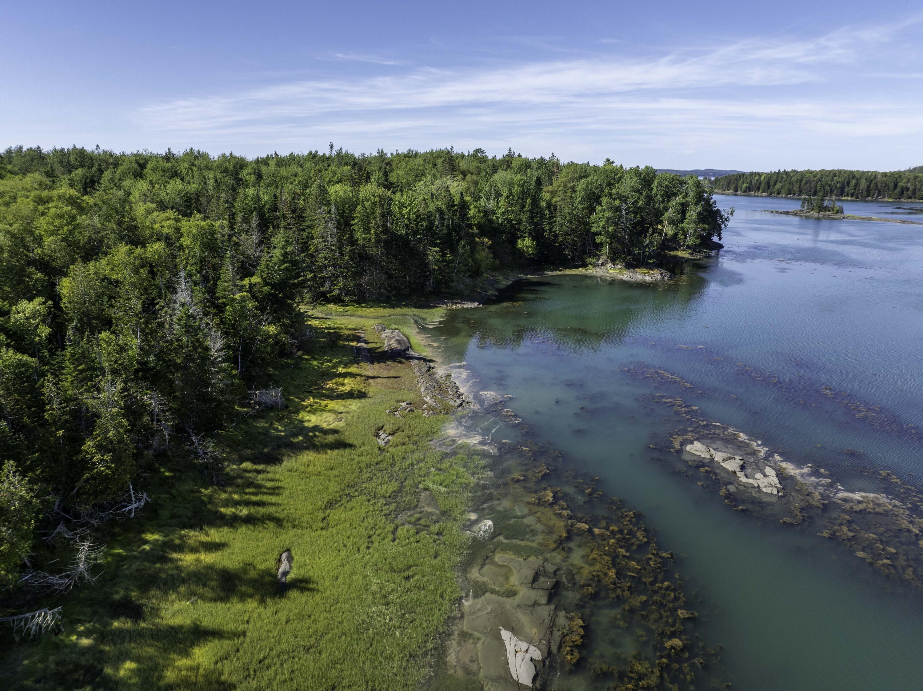 Lot 48 Coffins Neck Road Lubec ME 04652
