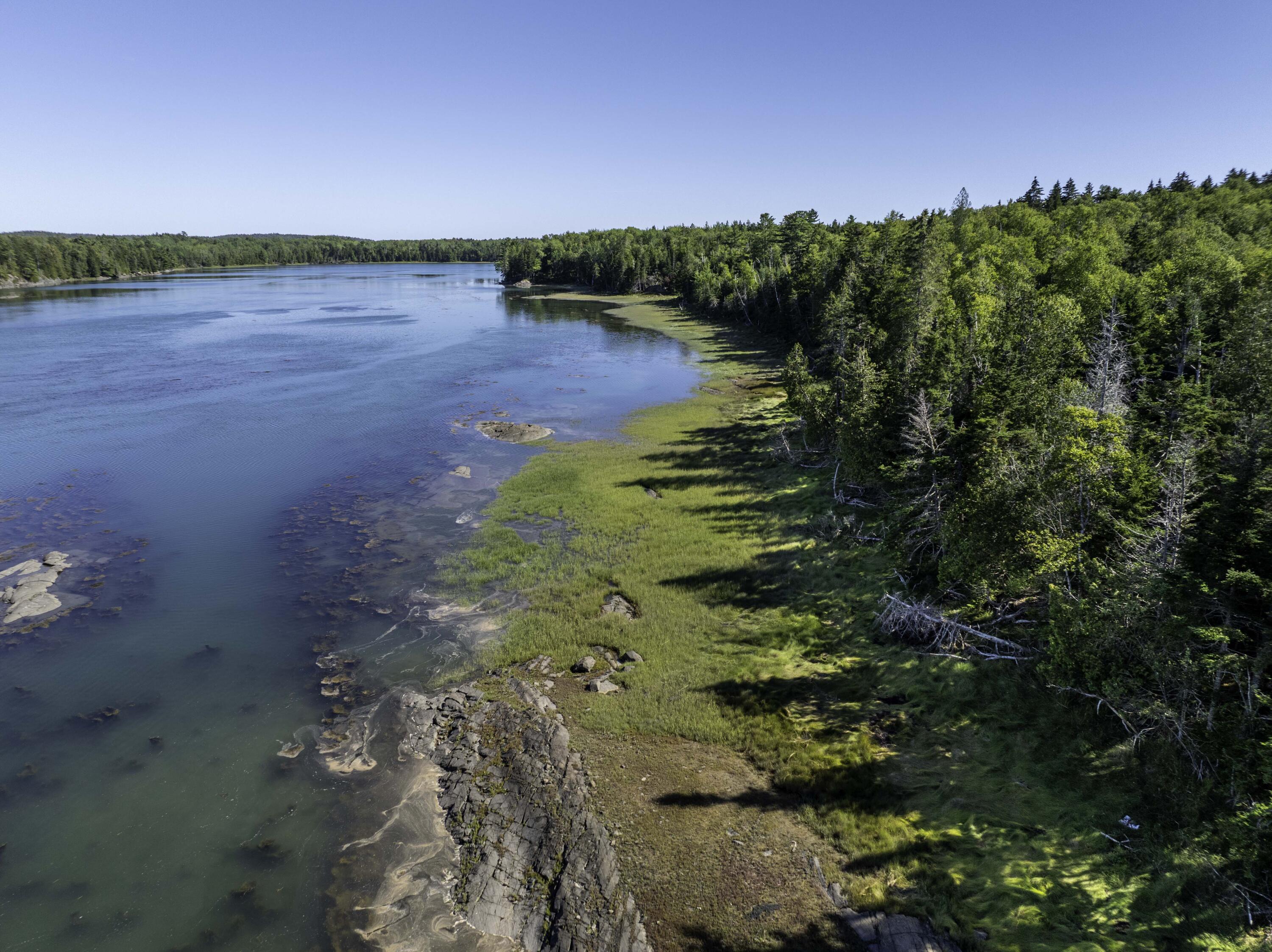 Lot 48 Coffins Neck Road Lubec ME 04652
