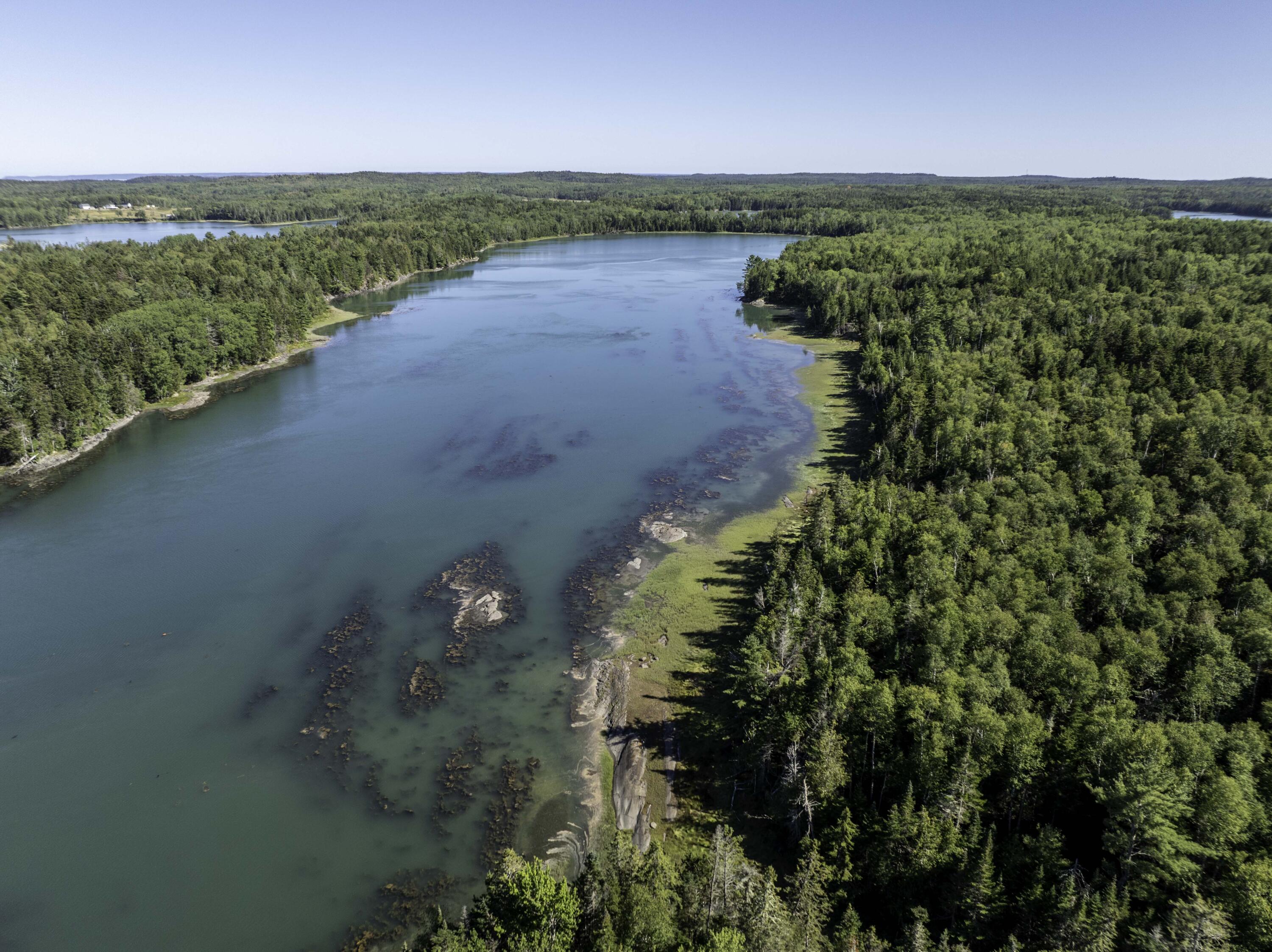 Lot 48 Coffins Neck Road Lubec ME 04652