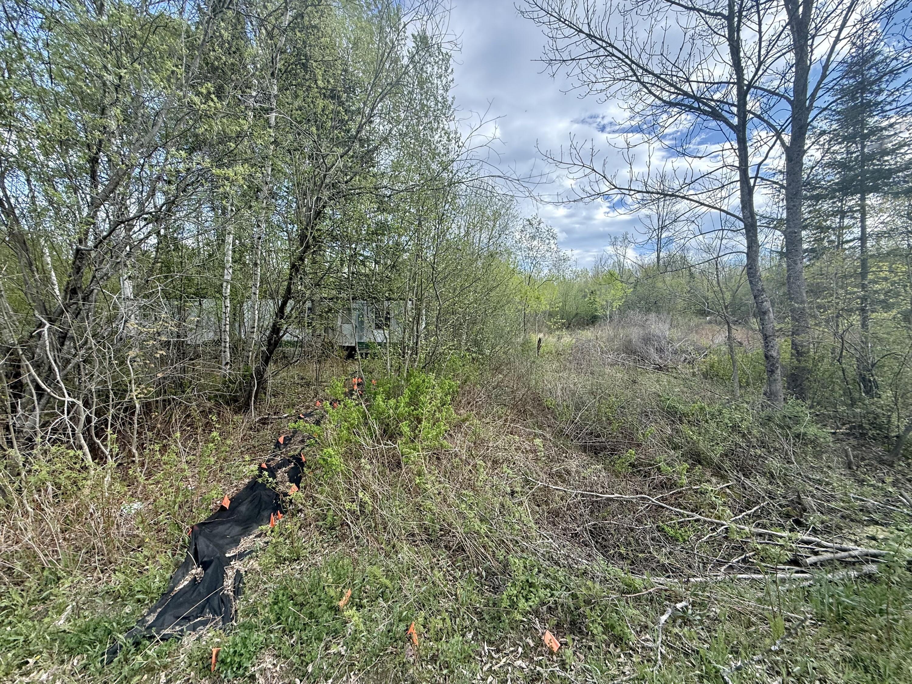 Lot #53 Sebec Lake Road Willimantic ME 04443