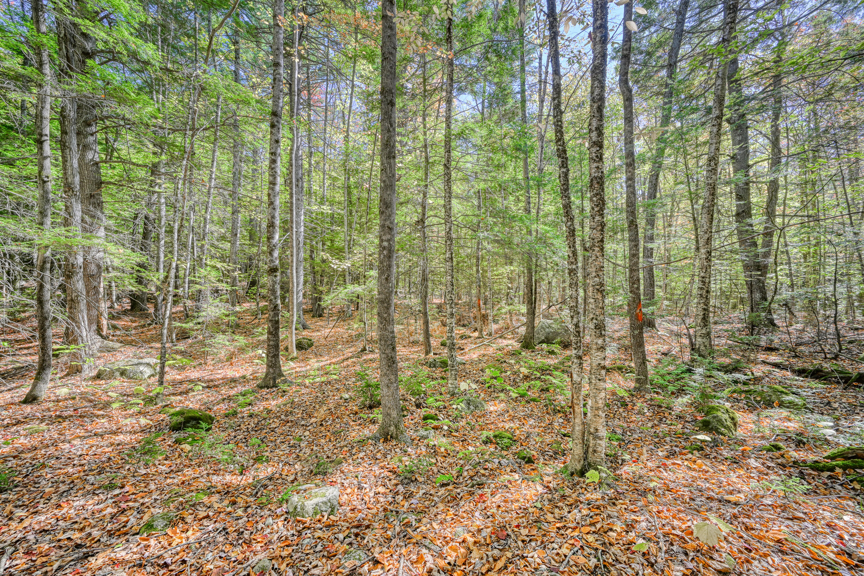 43 & 44 Echo Valley Estates Rome ME 04963