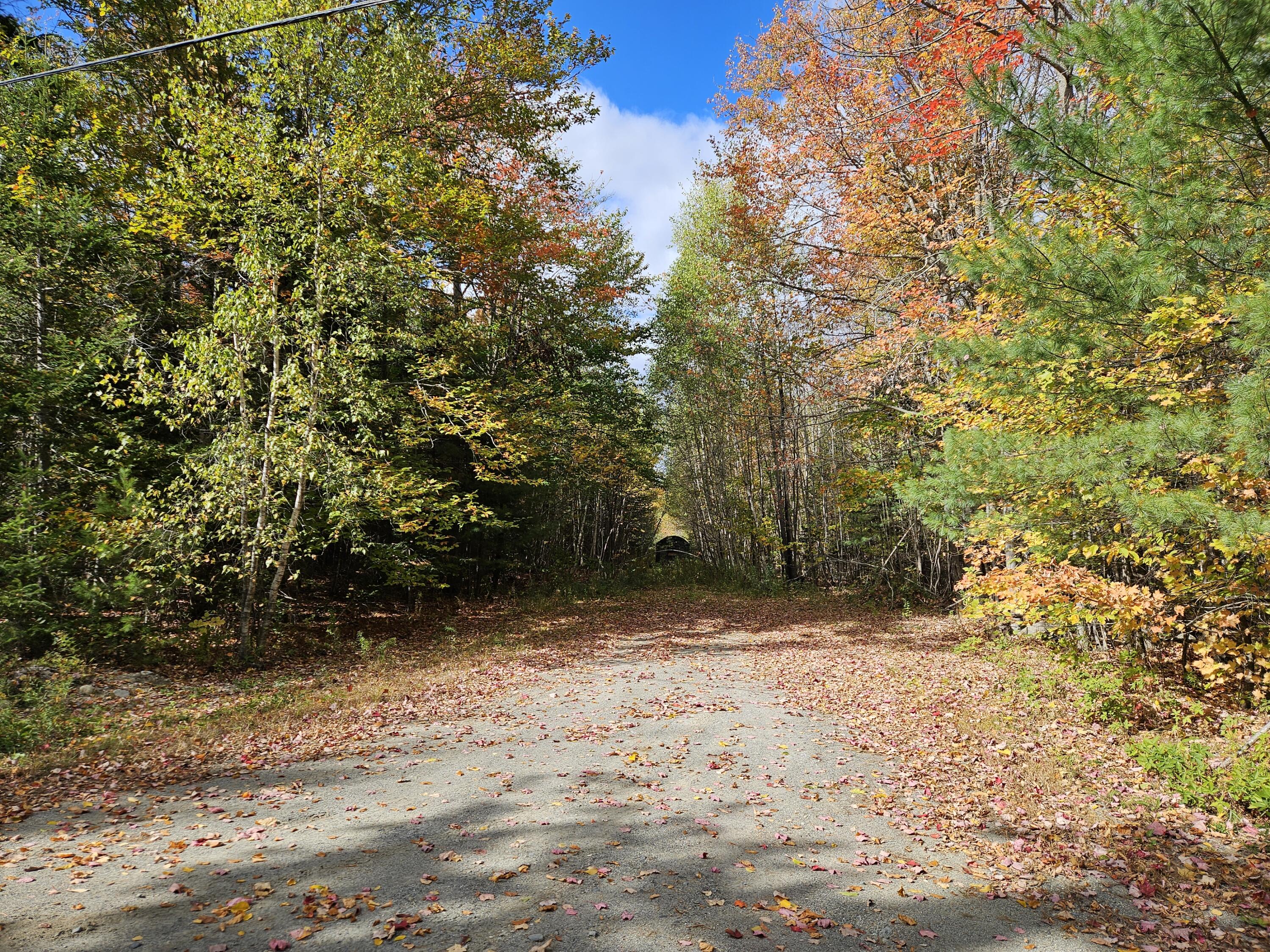 MR7 L31&37 Taylor Hill Road New Vineyard ME 04956