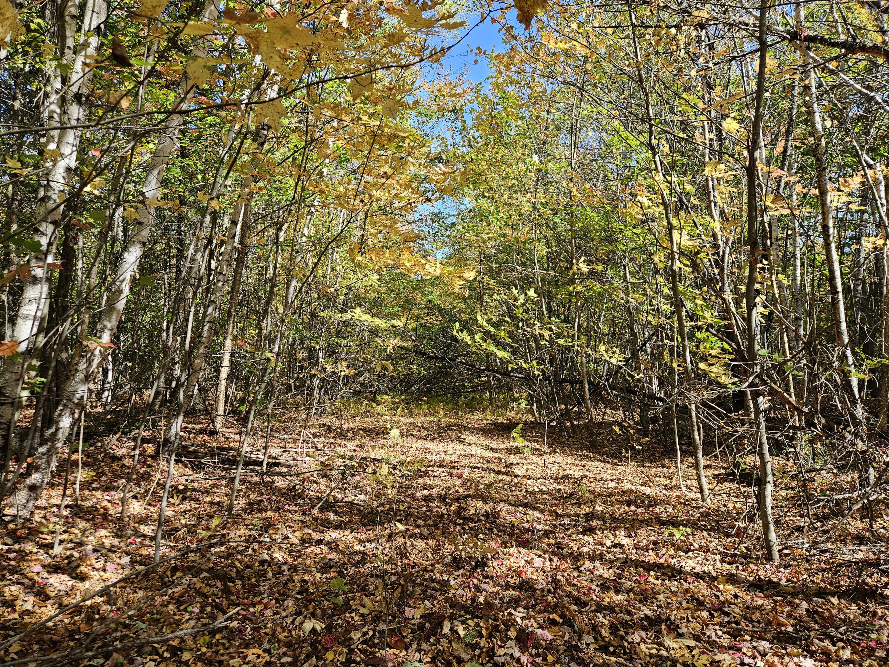 MR7 L31&37 Taylor Hill Road New Vineyard ME 04956