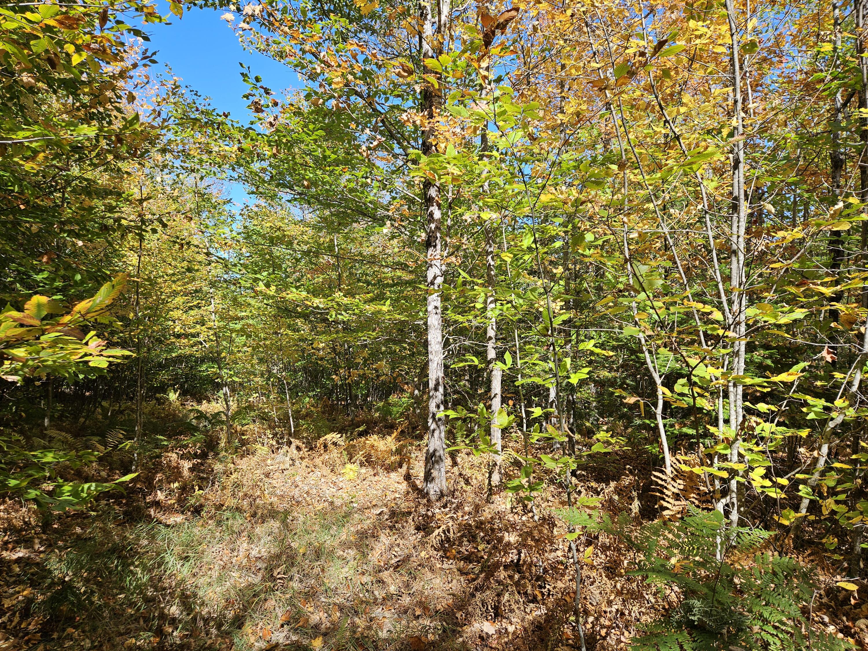 MR7 L31&37 Taylor Hill Road New Vineyard ME 04956