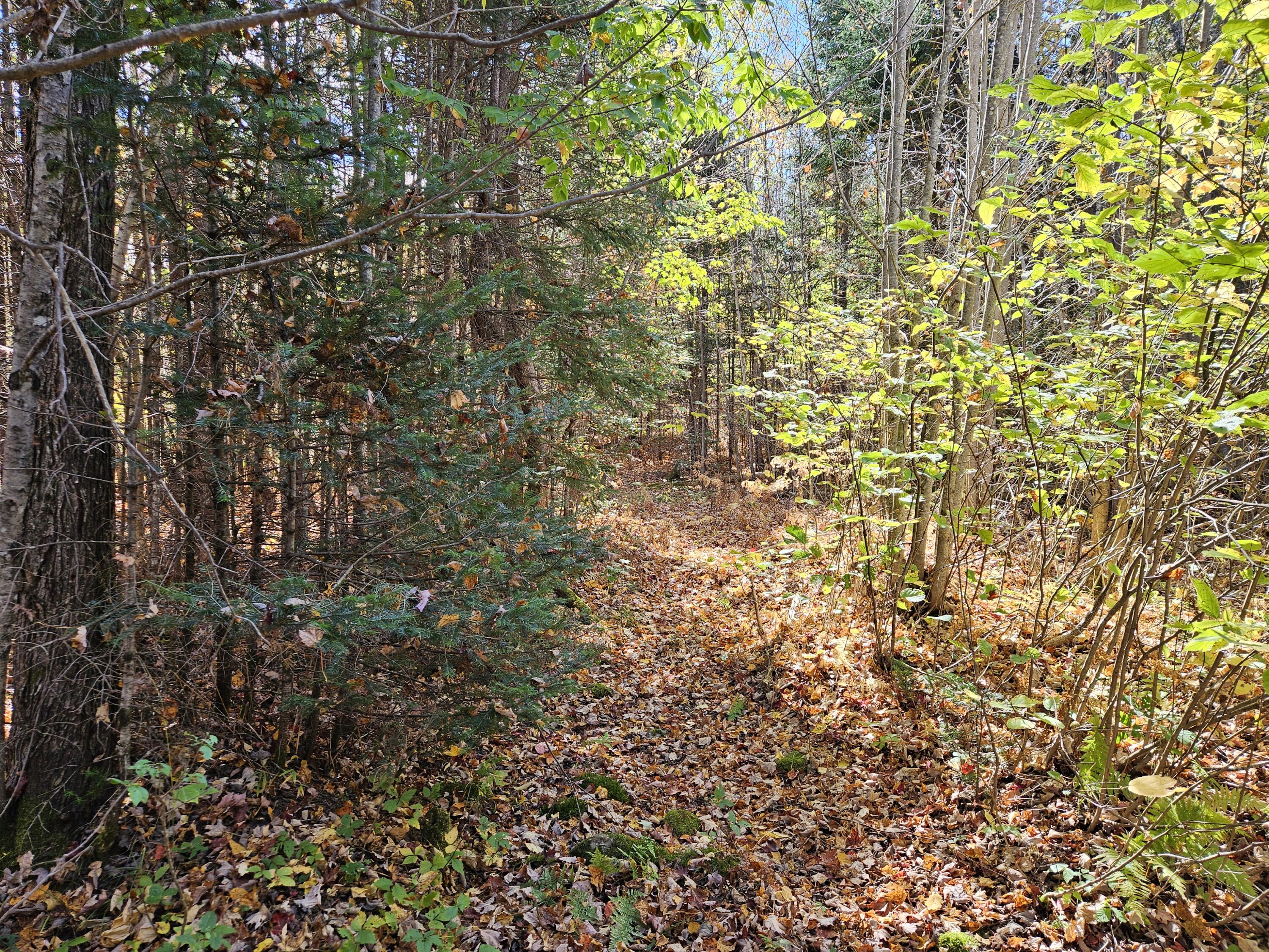 MR7 L31&37 Taylor Hill Road New Vineyard ME 04956