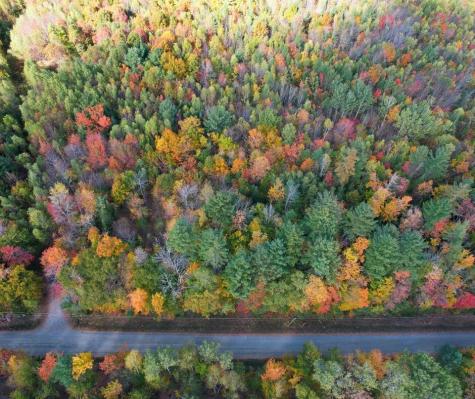 MR7 L31&37 Taylor Hill Road New Vineyard ME 04956