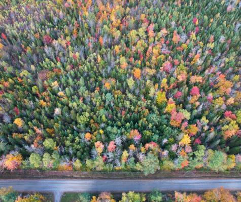 MR7 L31&37 Taylor Hill Road New Vineyard ME 04956