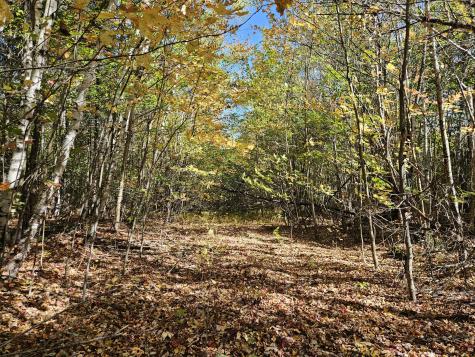 MR7 L31&37 Taylor Hill Road New Vineyard ME 04956