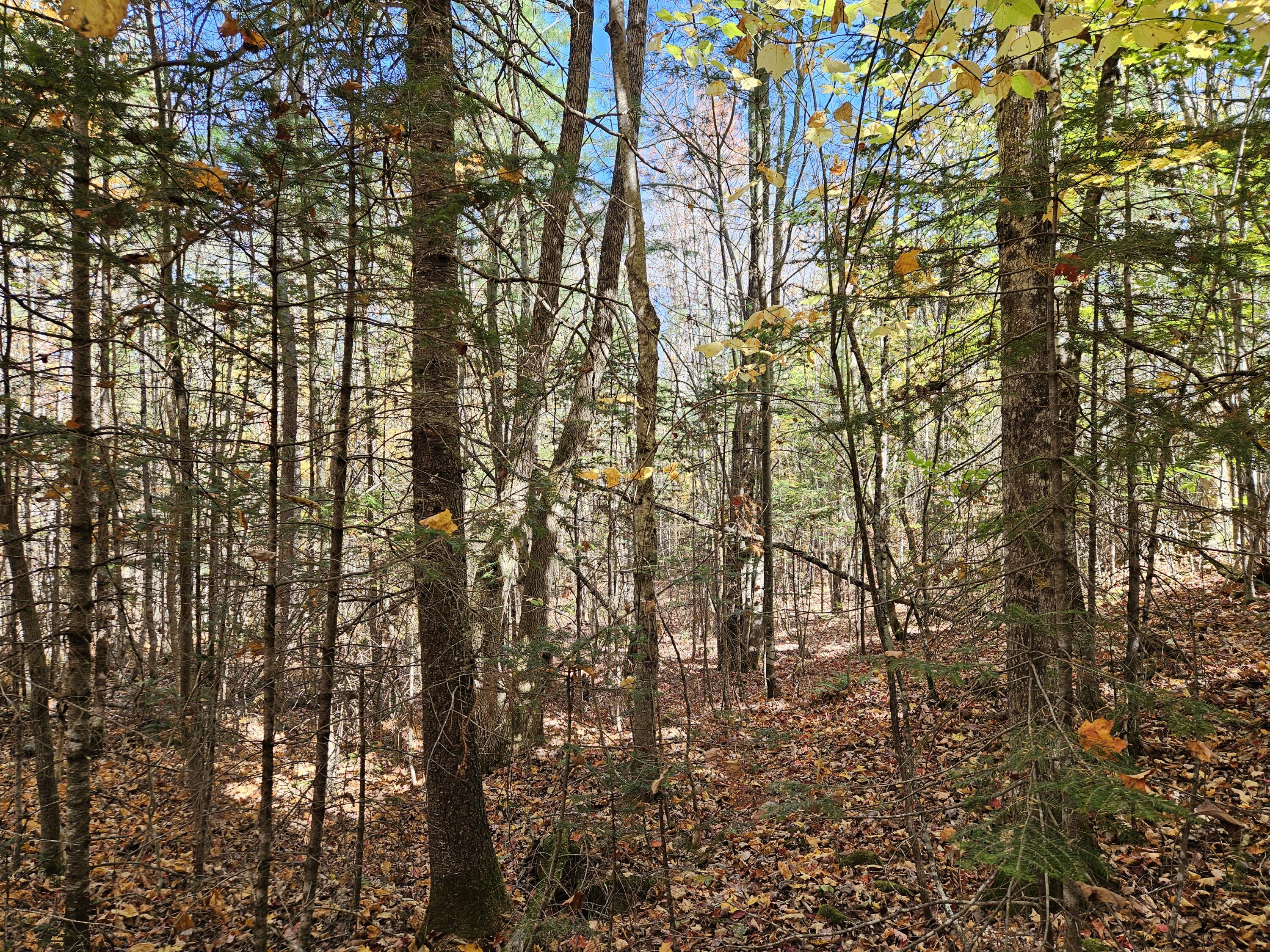 MR7 L31&37 Taylor Hill Road New Vineyard ME 04956