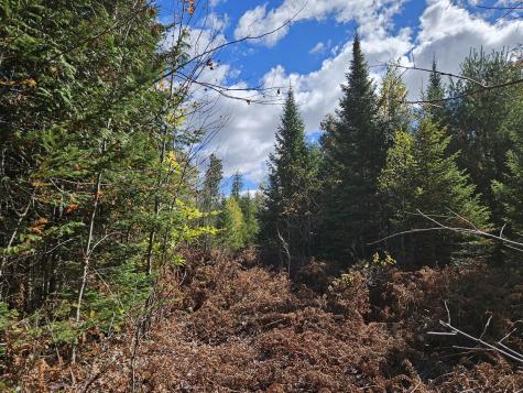 MR7 L31&37 Taylor Hill Road New Vineyard ME 04956