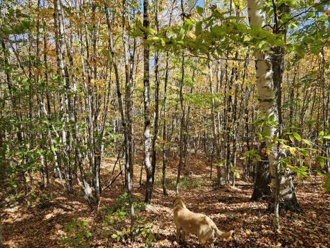 MR7 L31&37 Taylor Hill Road New Vineyard ME 04956