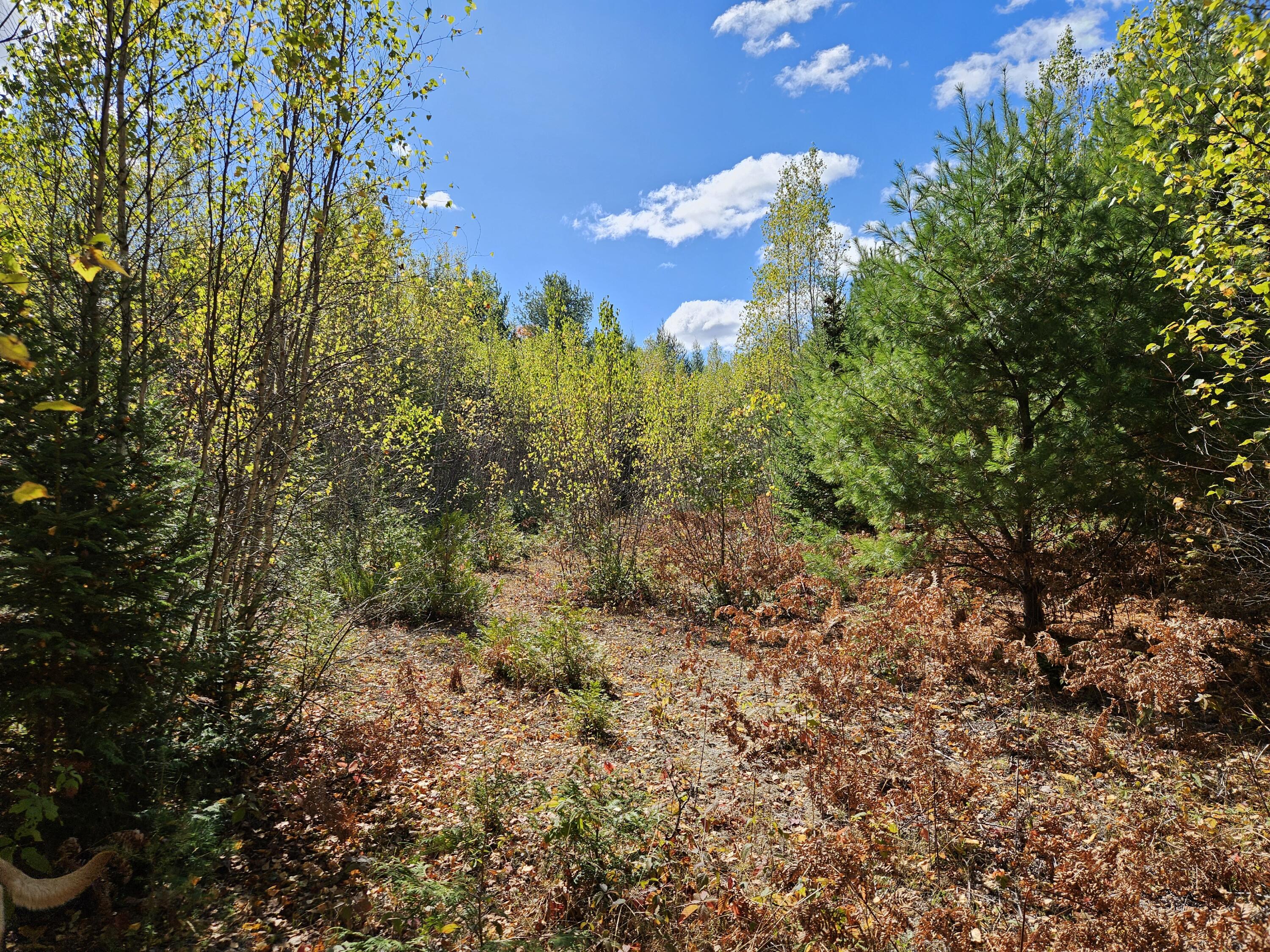 MR7 L31&37 Taylor Hill Road New Vineyard ME 04956