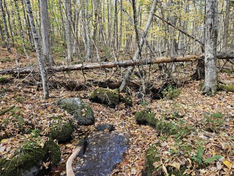 MR7 L31&37 Taylor Hill Road New Vineyard ME 04956