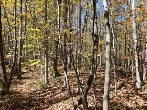 MR7 L31&37 Taylor Hill Road New Vineyard ME 04956